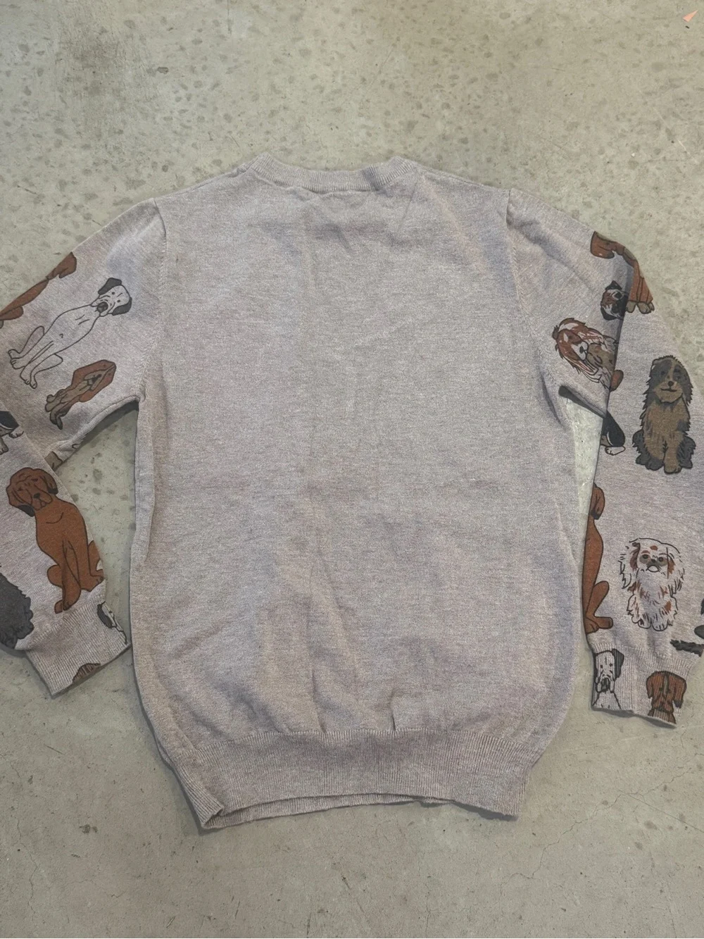Cozy Dog Print Crewneck Sweater - Beige with Multicolor Dogs - Picture 4 of 4